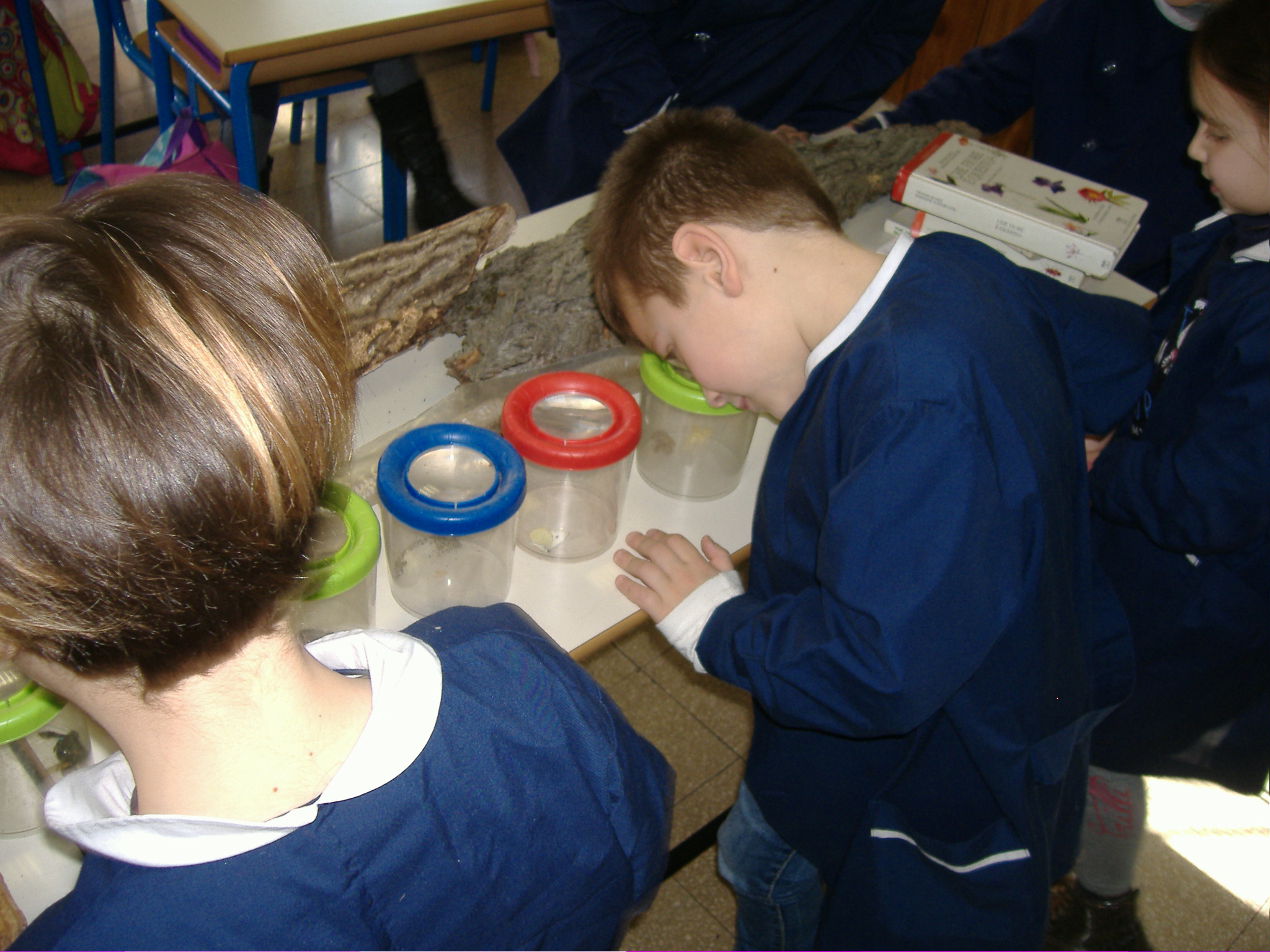 Educazione ambientale Roma