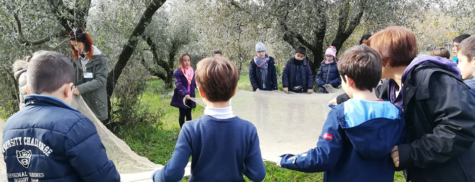 Educazione alla sostenibilità ambientale